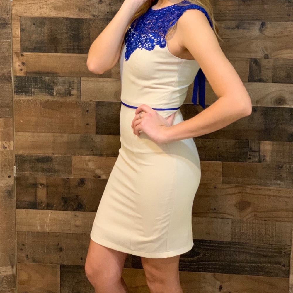 Tan and blue lace Lizard Thicket size S